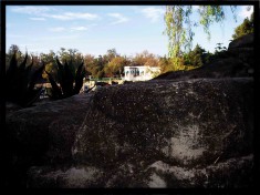 lagodechapultepec 1